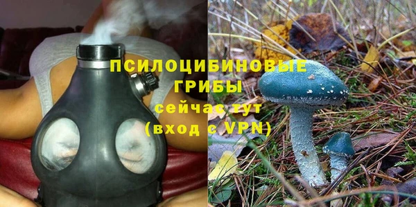 стафф Михайловск