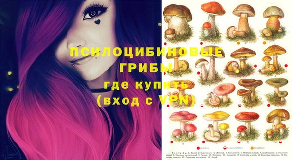 стафф Михайловск