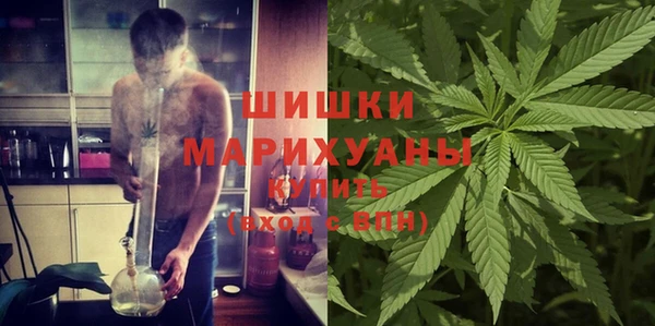 стафф Михайловск