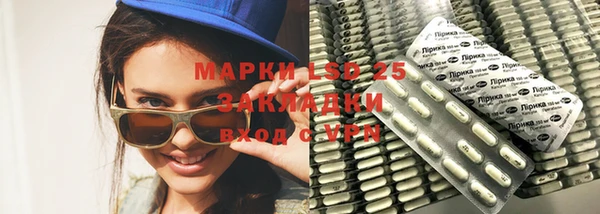 стафф Михайловск