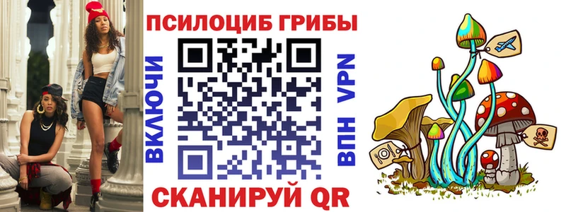 Псилоцибиновые грибы Cubensis  Красково 